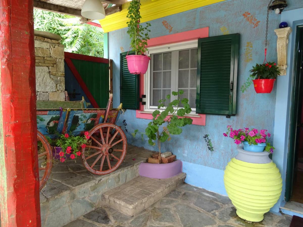 Nicola's Gaios